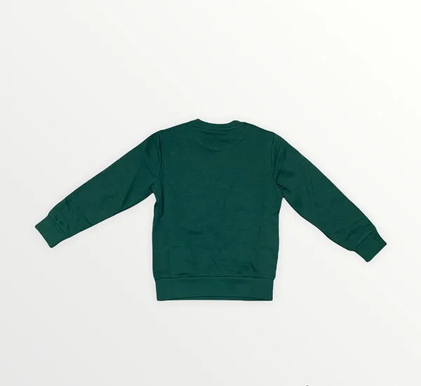 Champion Sweatshirt 305360 GS502 HLG green